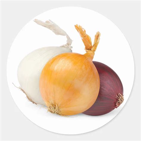 Three Onions Of Various Colors Classic Round Sticker Zazzle