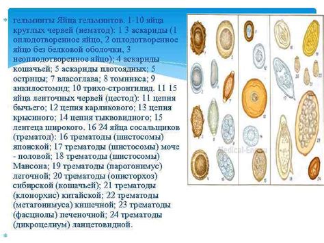 ГБОУ Министерство образования и науки РБ Бурятский аграрный