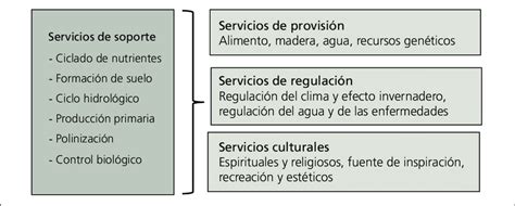 Clasificación de los servicios ecosistémicos Download Scientific Diagram