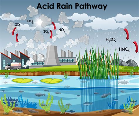 Hiện Tượng Mưa Axit Là Gì Sự Hình Thành Nguyên Nhân Và Tác Hại