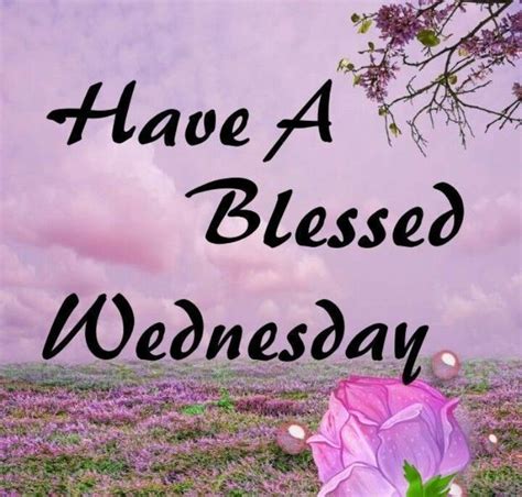 Have A Blessed Wednesday Quotes Quote Days Of The Week Wednesday Hump