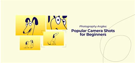 Photography Angles: 11 Popular Camera Shots for Beginners