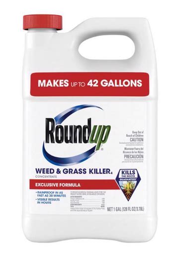 Roundup Weed And Grass Killer Concentrate 1 Gal No 5376804