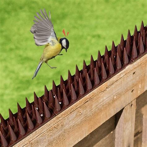 Outdoor Wall Balcony Plastic Pigeon Cat Control Prickle Strip Anti Bird