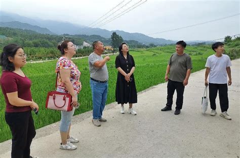 “鲁山县四棵树乡乡村振兴专家工作站”落户张沟村凤凰网河南凤凰网