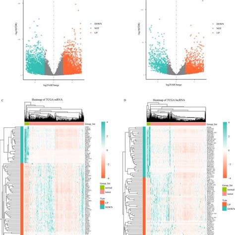 Differential Expression Analysis Of MRNA And LncRNA In TCGA Colorectal