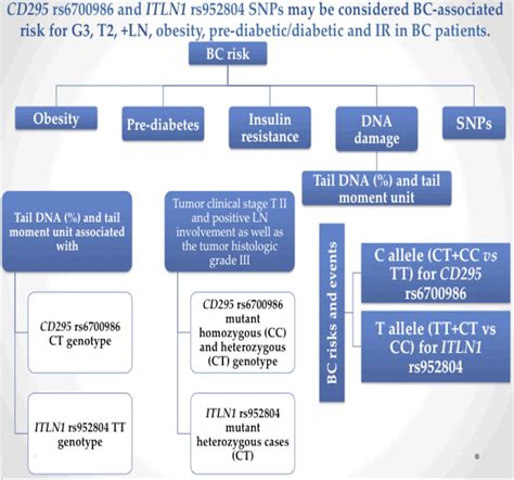 Molecular Profiling Of Breast Cancer Susceptibility Of Obese Or Insulin