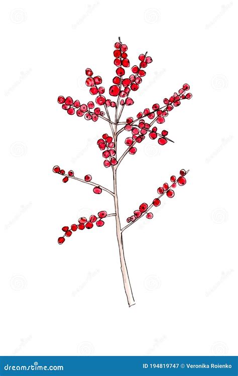 Winterberry Cartoons, Illustrations & Vector Stock Images - 978 Pictures to download from ...