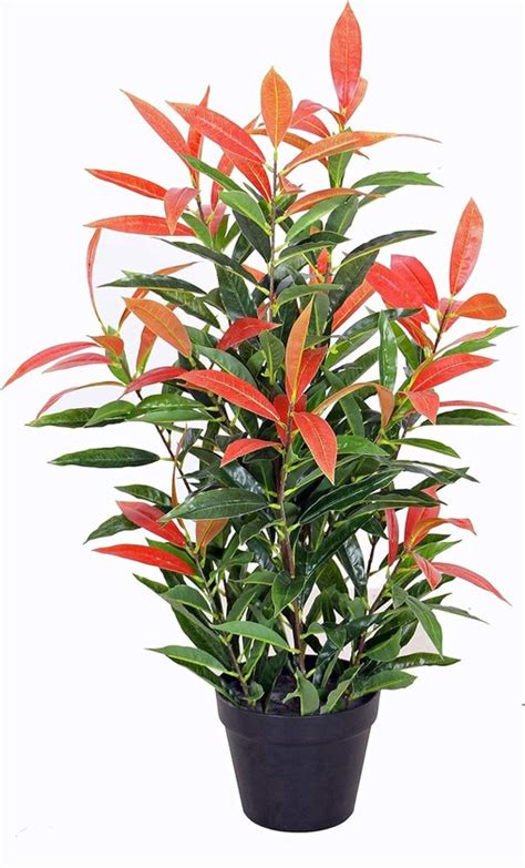 Kunstmispel PHOTINIA Met Pot Ca 80 Cm Hoog Kunstplanten Kunstplanten