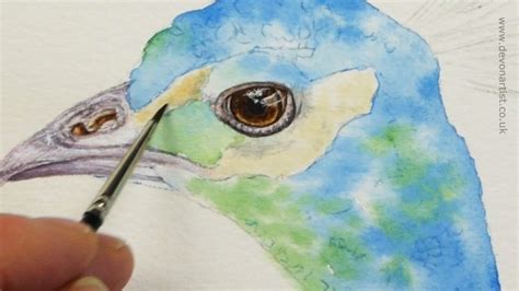 Using Watercolour To Paint Realistic Detail The Devon Artist