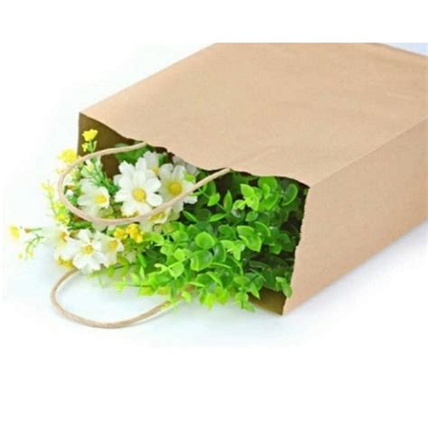 Brown Kraft Paper Bag Capacity 5kg At Rs 5 5 Piece In Bengaluru Id