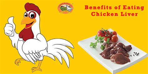 Chick N Chilly Benefits Of Eating Chicken Liver