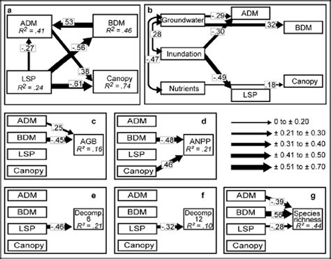 Final Models Derived From Initial Models In Figure 9 1 Names And Download Scientific Diagram