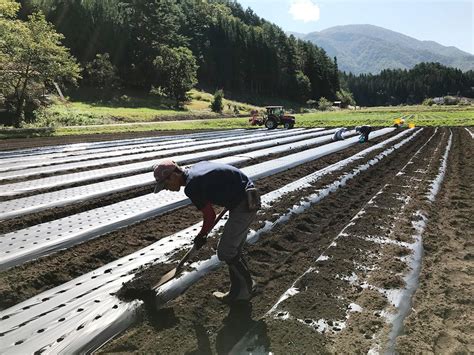 先行予約 令和6年産 こしひかり 定期便 5kg 12回 事前予約 白川郷 戸ヶ野のこしひかりプレミアム 5キロ 12か月 新米 常温 こめ