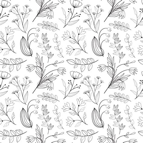 Patr N Floral Transparente En Estilo De L Nea En Blanco Y Negro