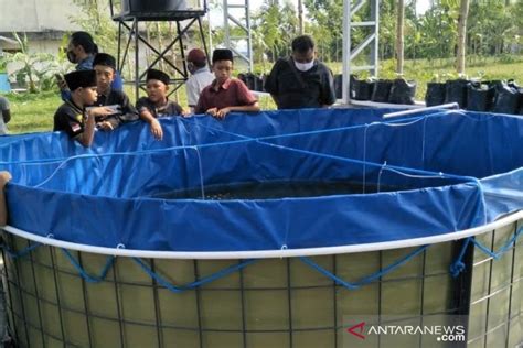 Ntb Mengembangkan Budidaya Ikan Dengan Sistem Bioflok Antara News