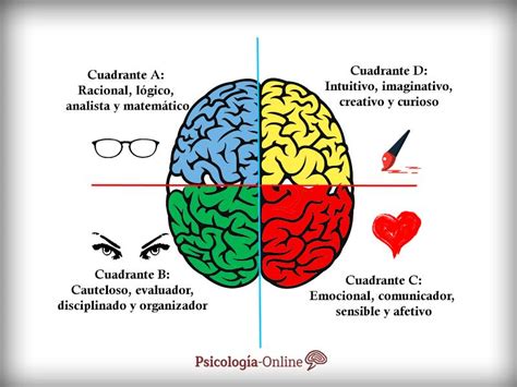 Teste De Dominancia Cerebral Braincp