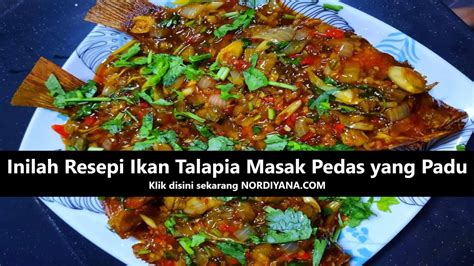 Inilah Resepi Ikan Talapia Masak Pedas Yang Padu Vipmalaysia