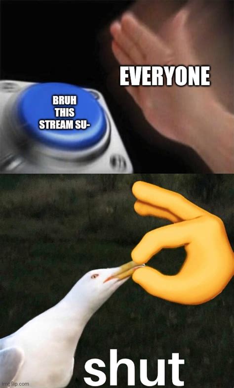 Image Tagged In Memes Bird Shut Bad Stream Imgflip