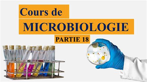 Cours de microbiologie partie 18 voies du métabolisme respiration