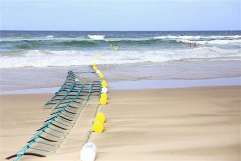 Australian Shark Prevention Barriers Scrapped