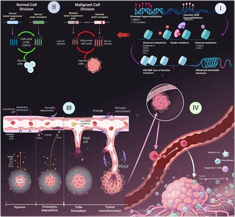 Frontiers Unlocking The Power Of Nanomedicine The Future Of