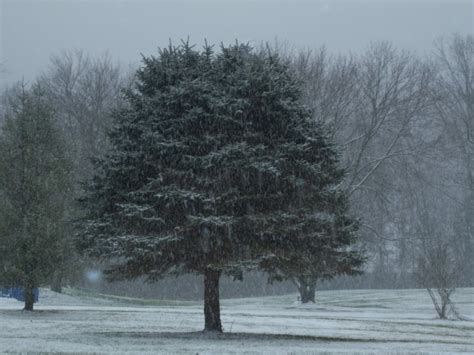 Difference between Sleet and Snow