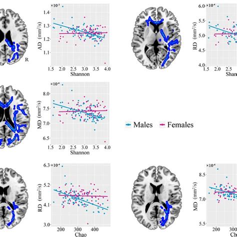 Sex Differences In The Associations Of Diffusion Parameters With Download Scientific Diagram