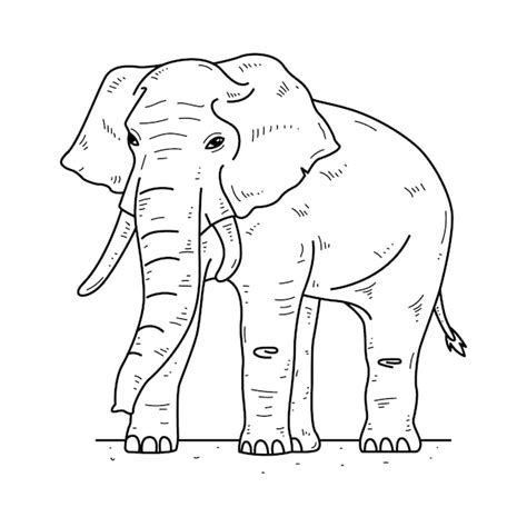 Free Vector | Hand drawn elephant outline illustration