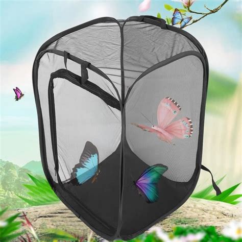 Pwshymi Cage Insectes En B Ton Cage Insectes Pliable En B Ton Cages