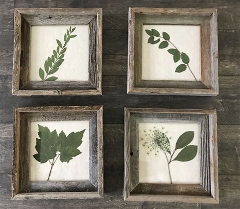 Dried And Framed Leaves From My Own Yard Framed Leaves Frame Decor