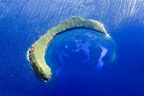 Molokini Snorkeling In Maui