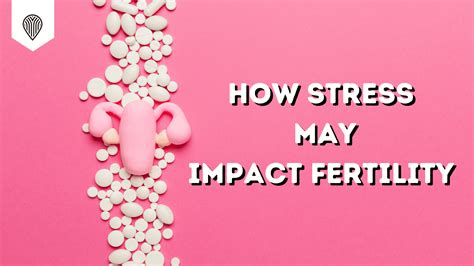 How Stress May Impact Fertility Protea Nutrition