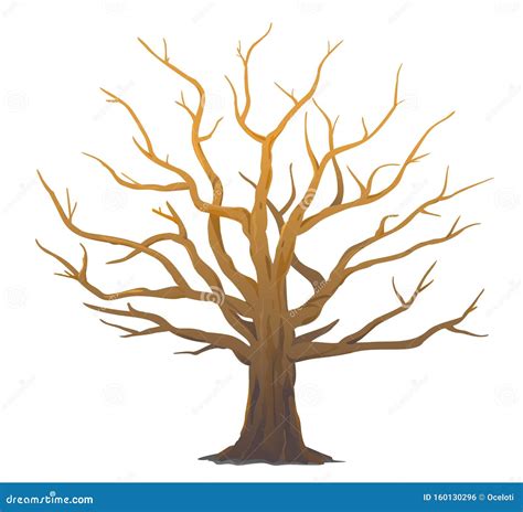 One Big Oak Tree without Leaves Isolated Stock Vector - Illustration of detailed, environment ...