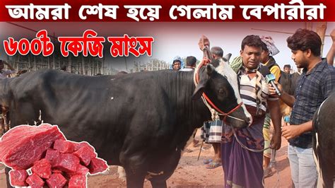 ৬০০ টাকা কেজি মাংস । ৬ মন ওজনের গরু কেমন দামে বিক্রয় হচ্ছে Rajshahi