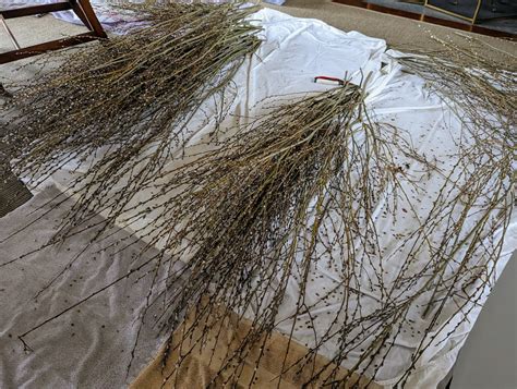 Pussy Willow Arrangements For Easter The Martha Stewart Blog