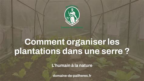 Comment Organiser Les Plantations Dans Une Serre