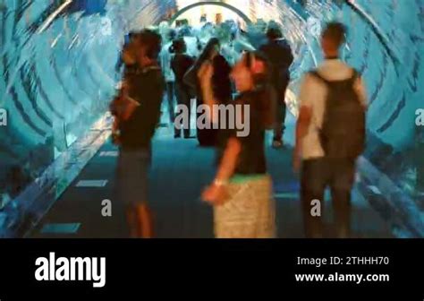 Aquarium in Mall - worlds largest shopping mall , Downtown Burj Khalifa ...