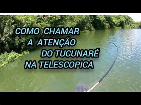 DICAS DE PESCA COMO CHAMAR A ATENÇÃO DO TUCUNARÉ NA VARA TELESCÓPICA