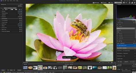 Acdsee Photo Studio Ultimate 2019 Review Spinvlero