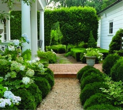 Modern Country Style Hydrangeas Topiary And Boxwood In The Modern