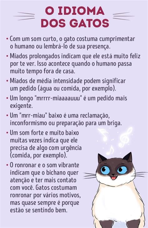 Esteira De Letras Sobre O Gato No Dia Mundial Do Gato