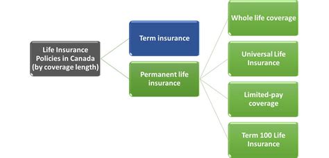 What Are the Different Types of Life Insurance Policies Available in Canada? | Life Insurance Canada