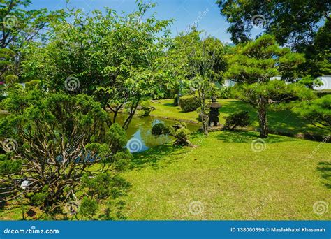 A Very Clean Japan Or Japanese Park Garden With Small And Big Bonsai