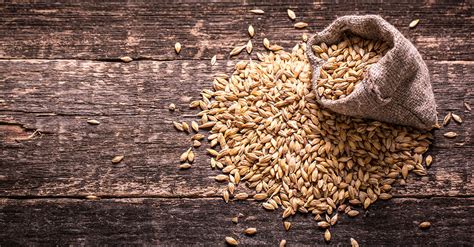 The Role Of Malt In Beer | VinePair