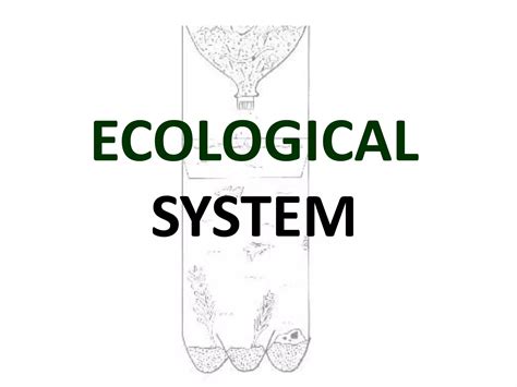 Ecology Notes 1 Ecosystem Ppt