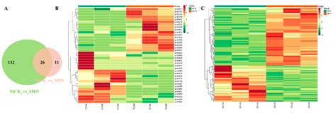 Genes Free Full Text Integrated Transcriptomics And Metabolomics