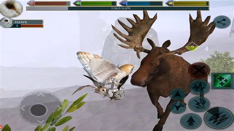 Owl Simulator Ultimate Bird Simulator By Gluten Free Games Youtube