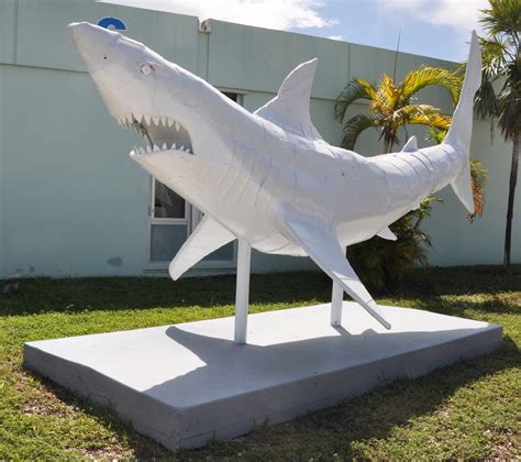 Shark Statues