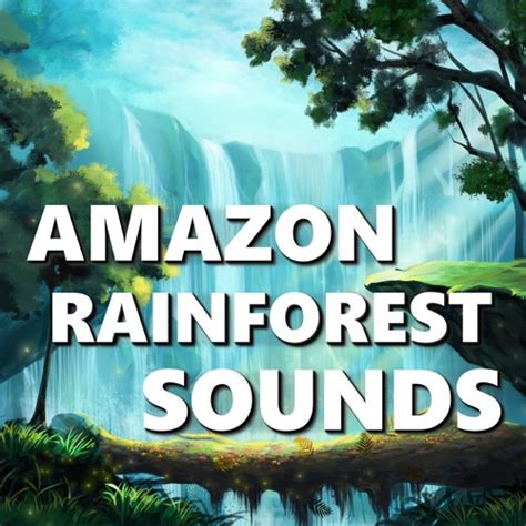 Stream Rainforest Bird Sounds By Rainforest Sounds Listen Online For